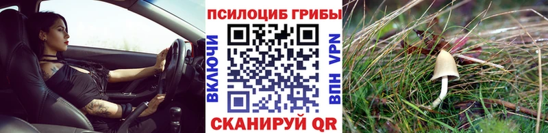 blacksprut вход  где можно купить   Городище  Галлюциногенные грибы мухоморы 